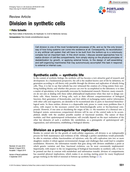 Division in Synthetic Cells