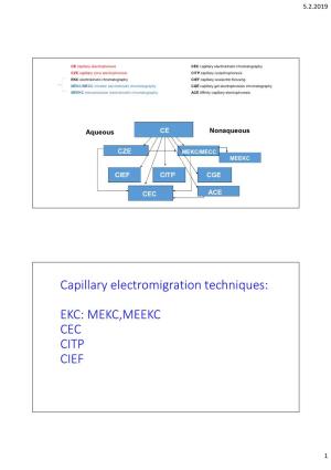 Micellar Electrokinetic Chromatography (MEKC)