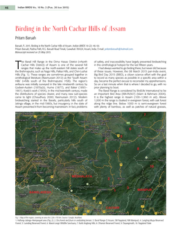 Birding in the North Cachar Hills of Assam Pritam Baruah