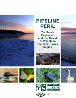 PIPELINE PERIL Tar Sands Expansion and the Threat to Wildlife in the Great Lakes Region ACKNOWLEDGMENTS