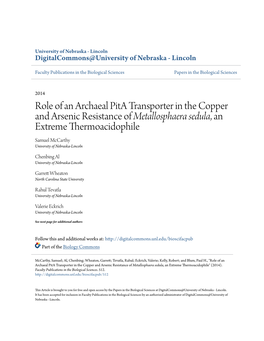 Role of an Archaeal Pita Transporter in the Copper and Arsenic