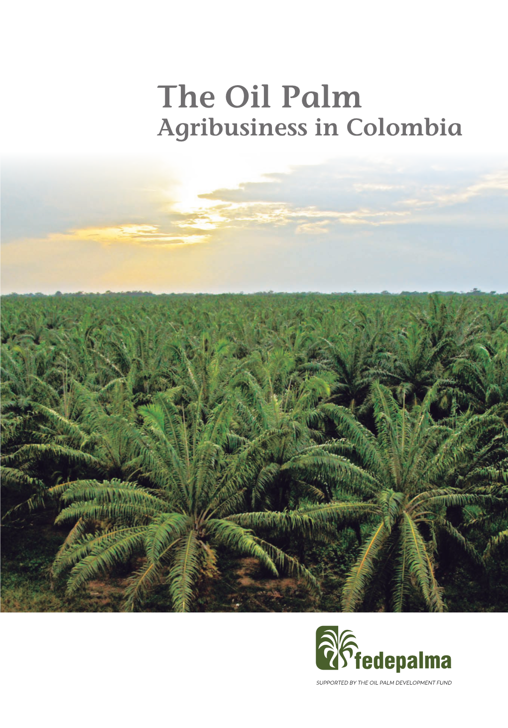 The Oil Palm Agribusiness in Colombia