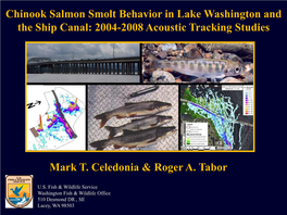 Chinook Salmon Smolt Behavior in Lake Washington and the Ship Canal: 2004-2008 Acoustic Tracking Studies