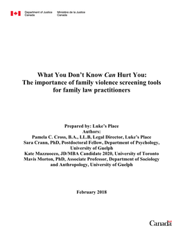 The Importance of Family Violence Screening Tools for Family Law Practitioners