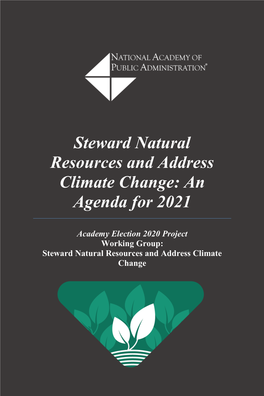 Steward Natural Resources and Address Climate Change: an Agenda for 2021