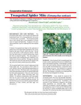 Twospotted Spider Mite (Tetranychus Urticae)