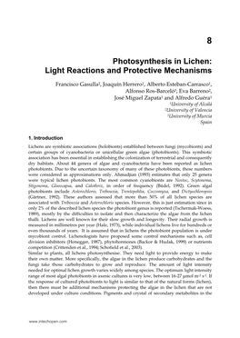 Photosynthesis in Lichen: Light Reactions and Protective Mechanisms