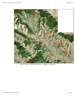 Aerial Map of Ancestral Town, Pungesti, Moldavia