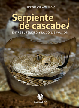 Serpiente De Cascabe ENTRE EL PELIGRO Y LA CONSERVACIÓN Héctor Ávila Villegas