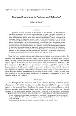 Sparassoid Ascocarps in Pezizales and Tuberales*