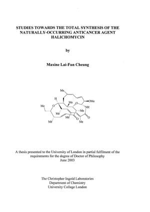 Studies Towards the Total Synthesis of the Naturally-Occurring Anticancer Agent Halichomycin