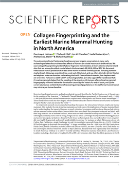 Collagen Fingerprinting and the Earliest Marine Mammal Hunting in North America Received: 2 February 2018 Courtney A