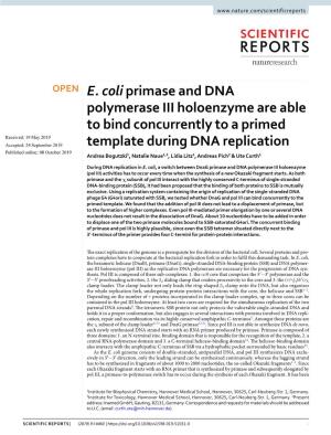 E. Coli Primase and DNA Polymerase III Holoenzyme Are Able to Bind