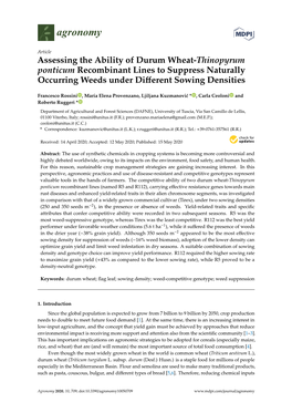 Assessing the Ability of Durum Wheat-Thinopyrum Ponticum Recombinant Lines to Suppress Naturally Occurring Weeds Under Diﬀerent Sowing Densities