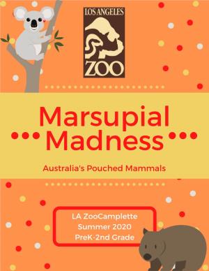 Marsupial Madness