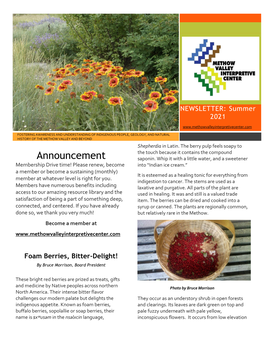 MVIC Summer 2021 Newsletter