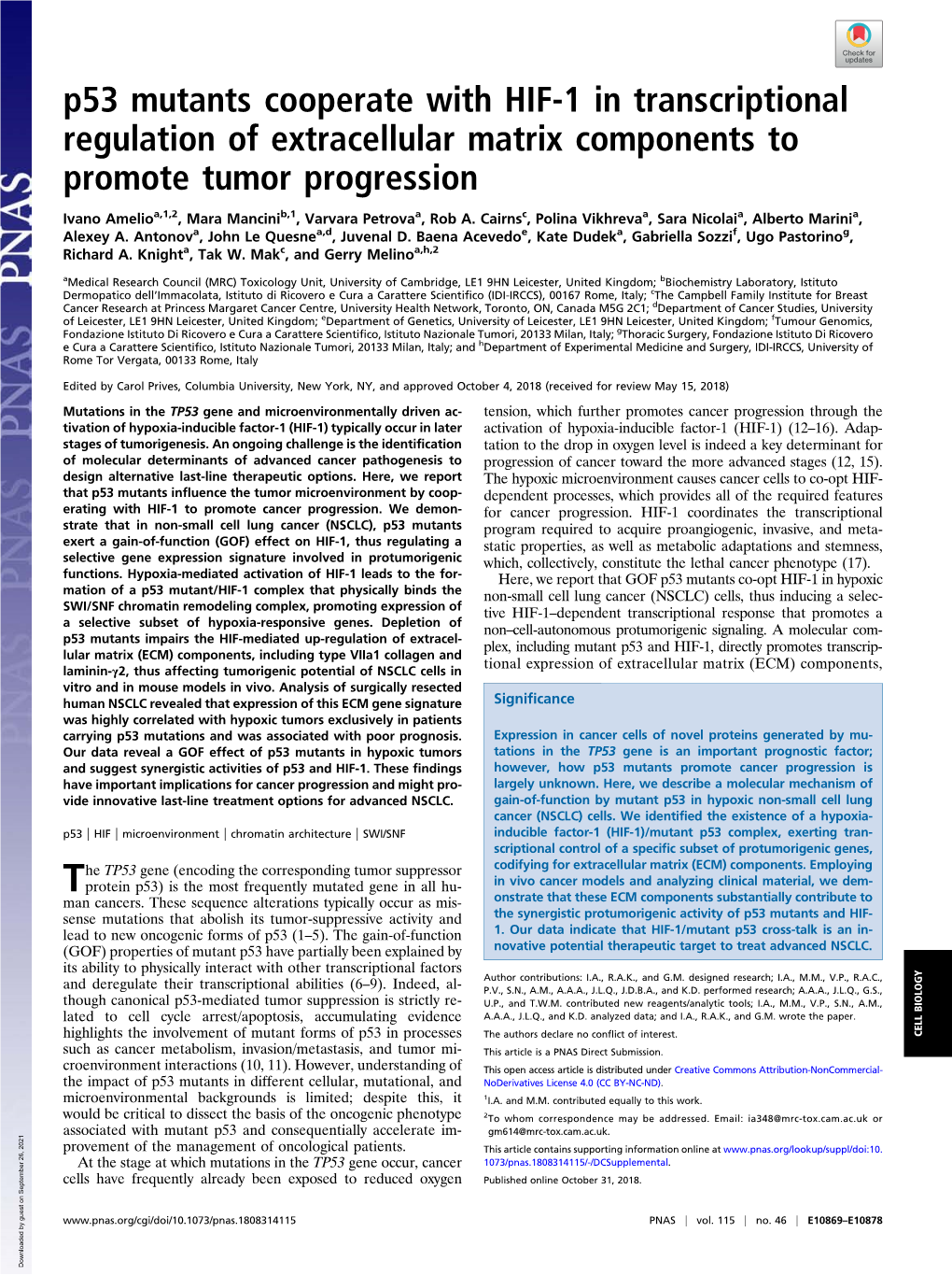 P53 Mutants Cooperate with HIF-1 in Transcriptional Regulation of Extracellular Matrix Components to Promote Tumor Progression