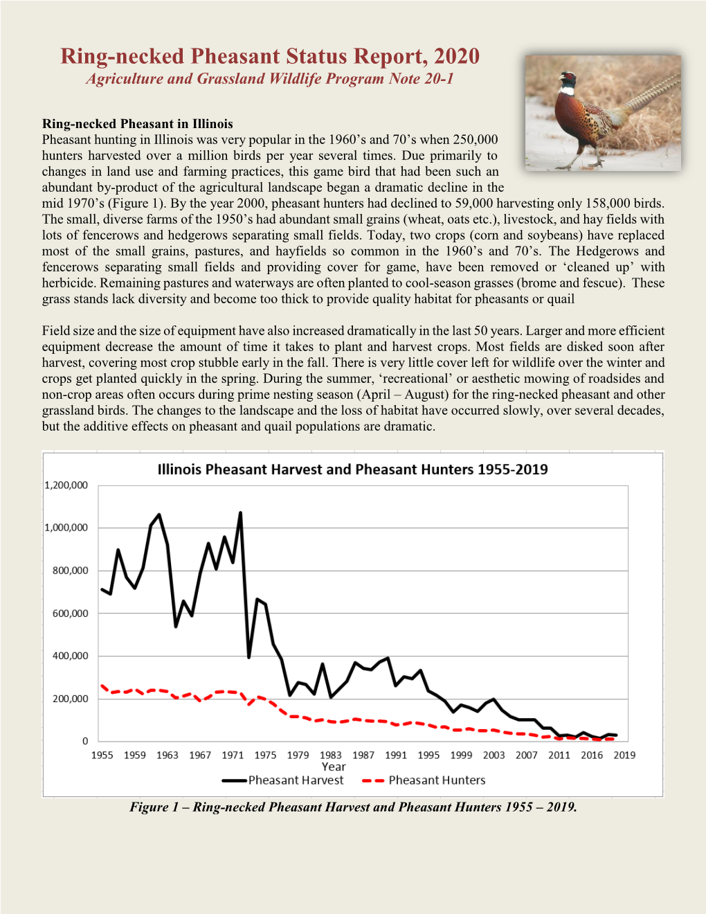 Pheasant Status Report 2020