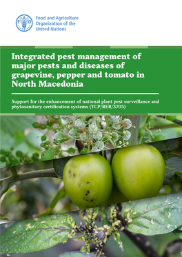 Integrated Pest Management of Major Diseases and Pests in Grapevine