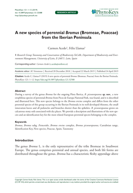 A New Species of Perennial Bromus (Bromeae, Poaceae) from the Iberian Peninsula