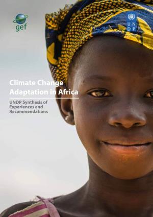 Climate Change Adaptation in Africa UNDP Synthesis of Experiences and Recommendations Empowered Lives
