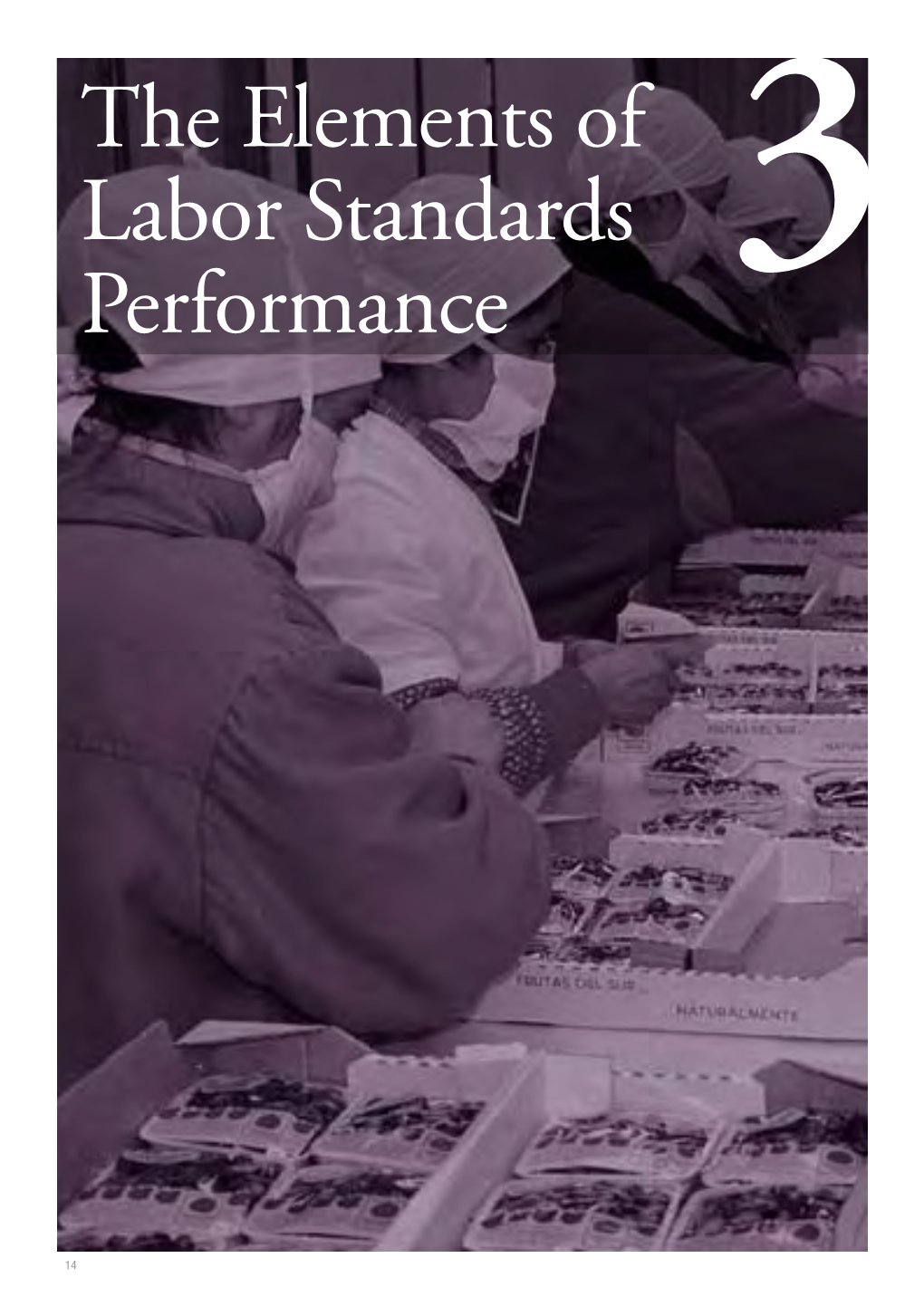 The Elements of Labor Standards Performance 31