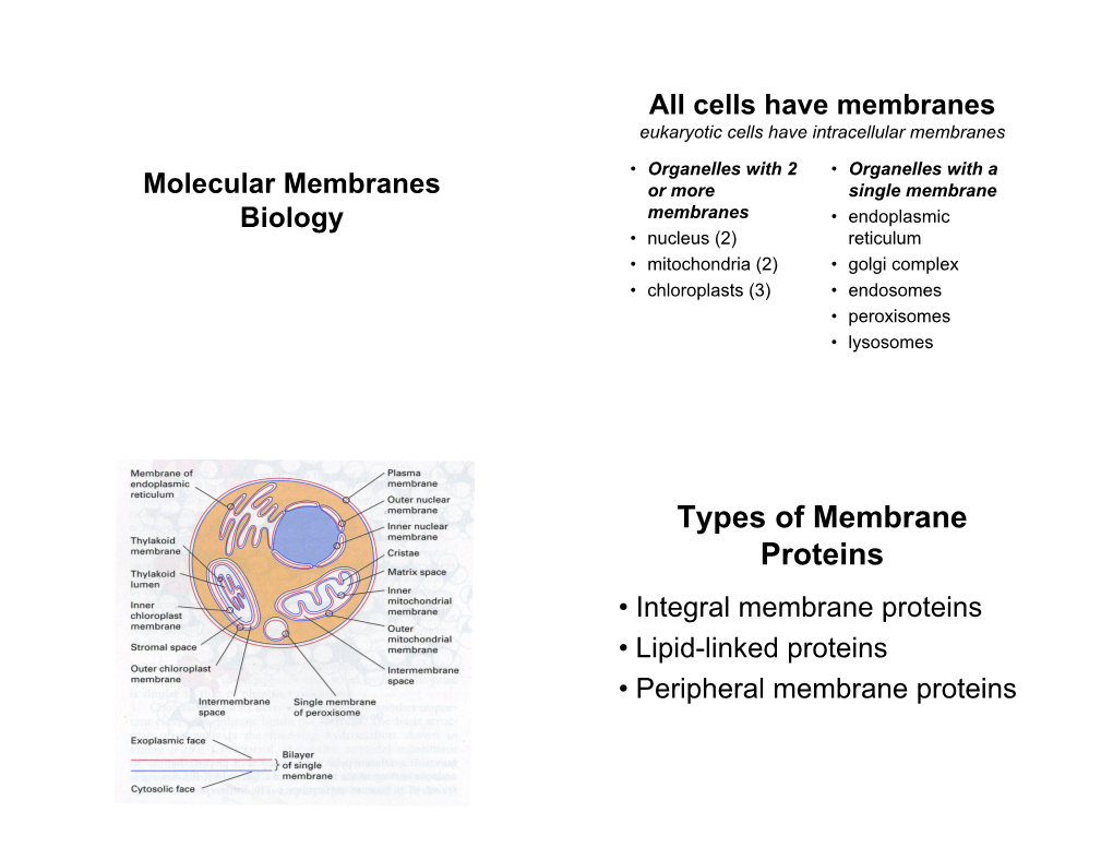 Types of Membrane Proteins