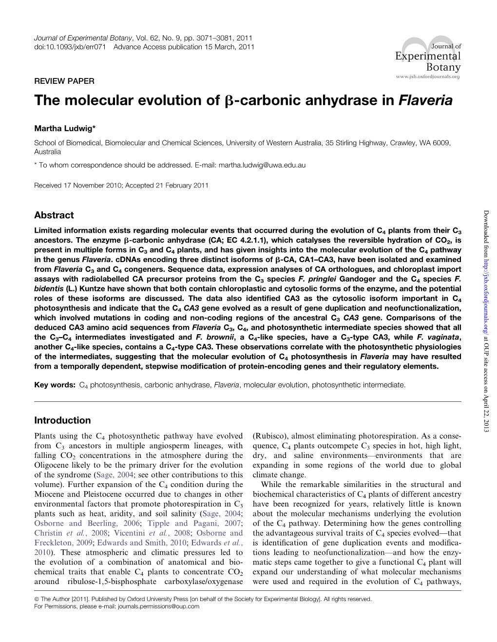 The Molecular Evolution of B-Carbonic Anhydrase in Flaveria