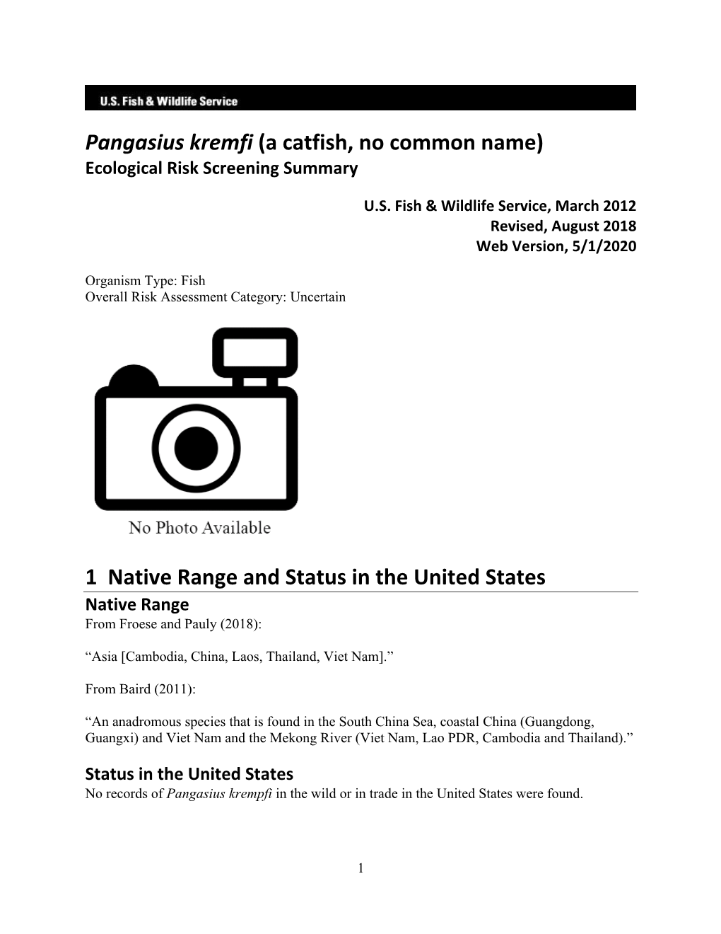 Pangasius Kremfi (A Catfish, No Common Name) Ecological Risk Screening Summary