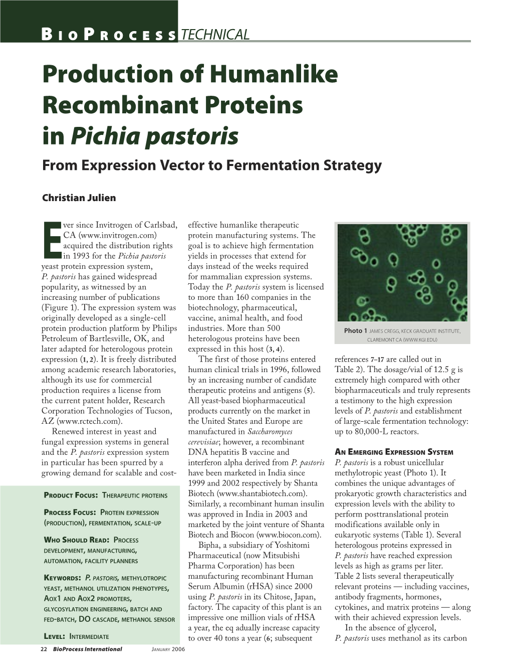 Production of Humanlike Recombinant Proteins in Pichia Pastoris from Expression Vector to Fermentation Strategy