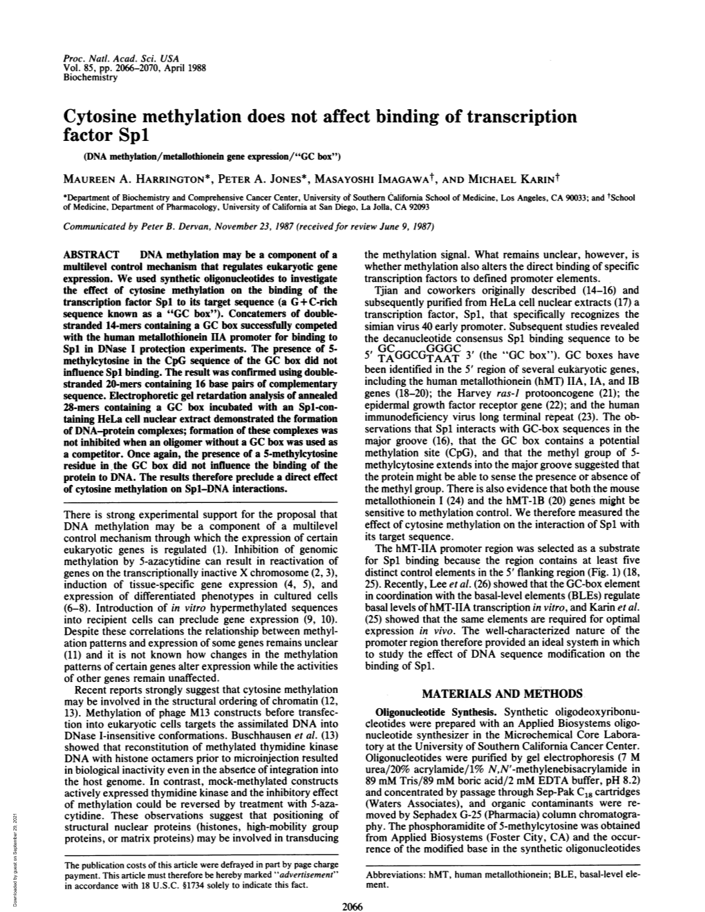 Cytosine Methylation Does Not Affect Binding of Transcription Factor Spl (DNA Methylation/Metaliothionein Gene Expression/