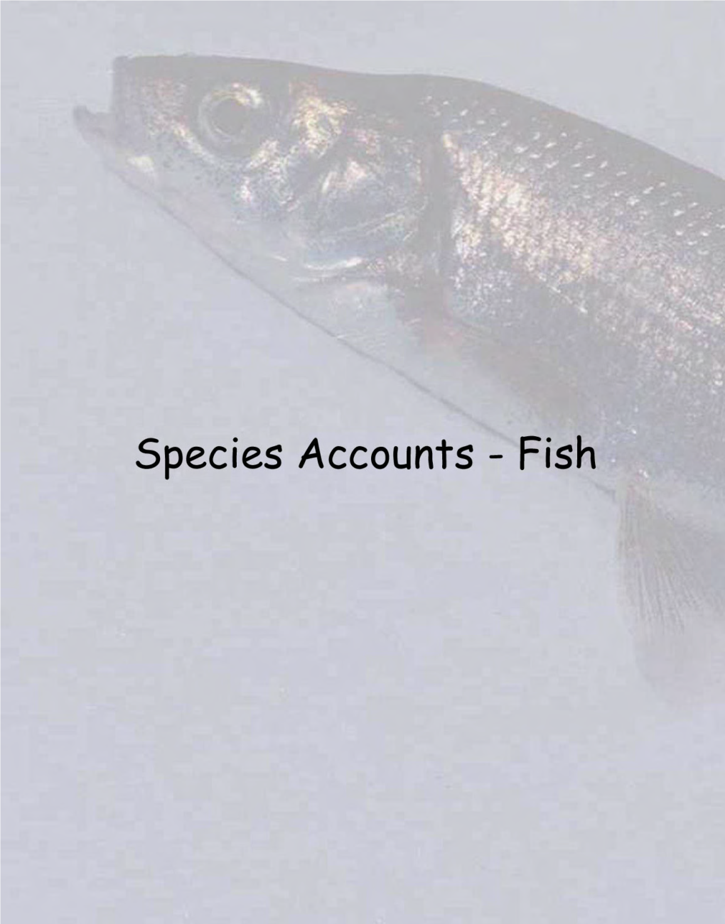 Species Account