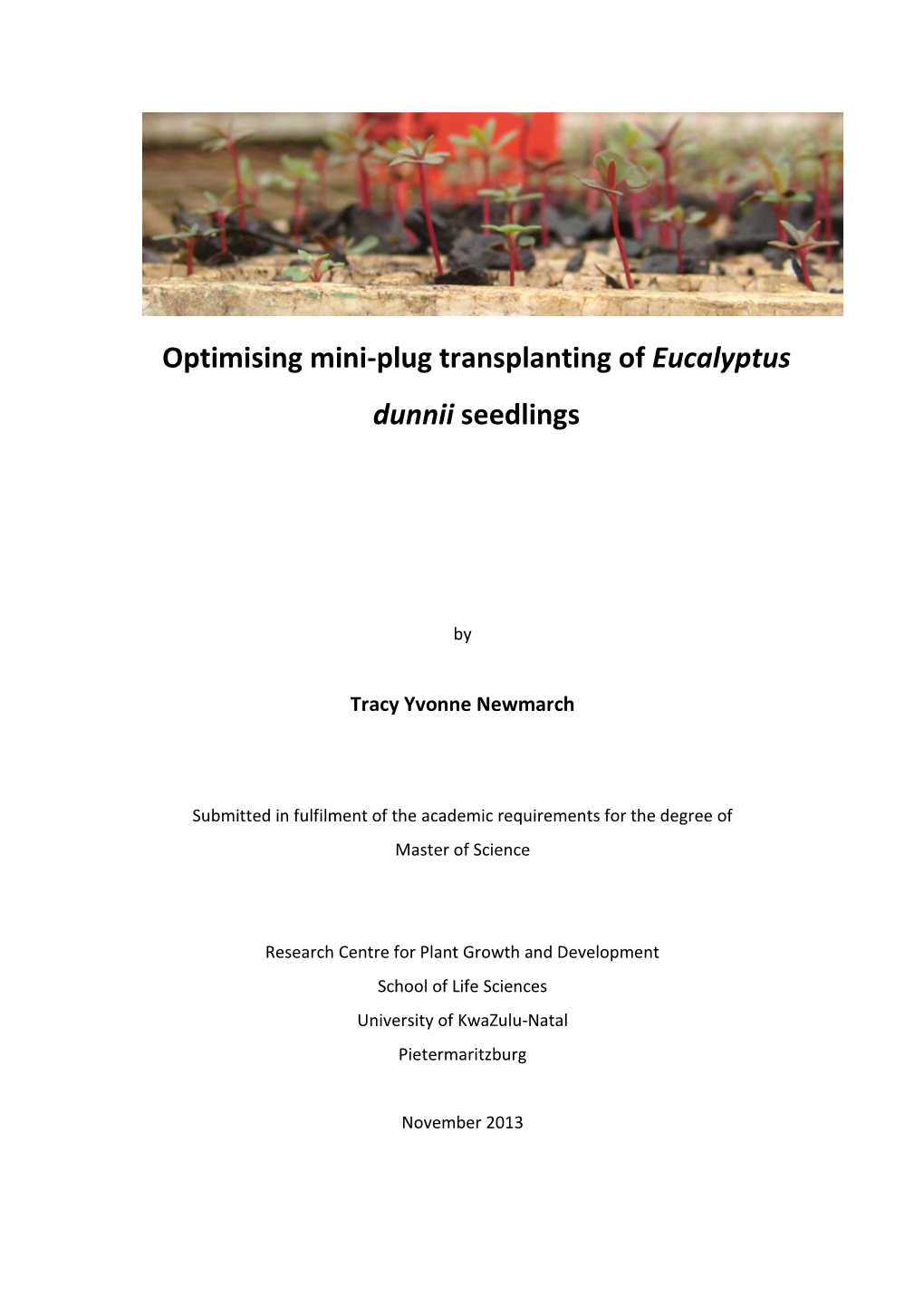 Optimising Mini-Plug Transplanting of Eucalyptus Dunnii Seedlings