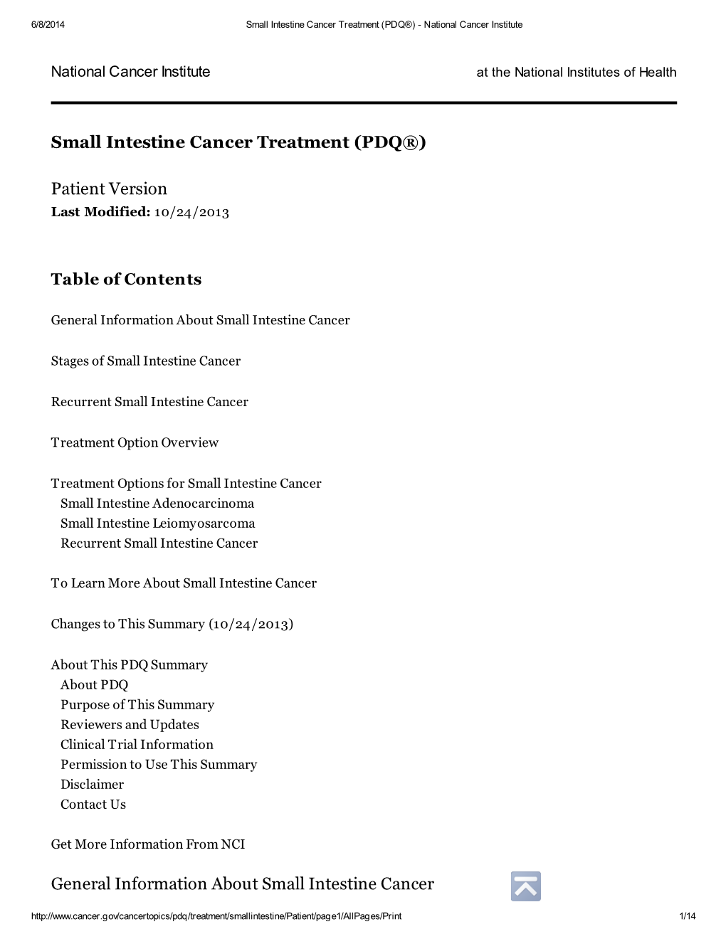 General Information About Small Intestine Cancer Small Intestine