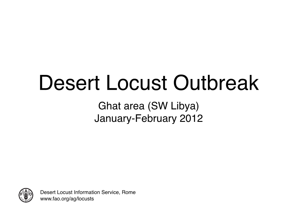 Ghat Area (SW Libya) January-February 2012