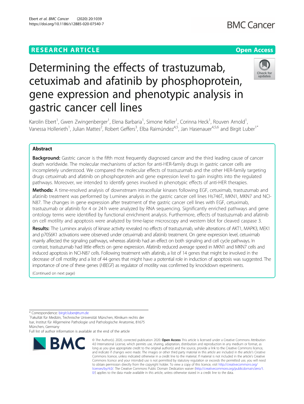 Determining the Effects of Trastuzumab, Cetuximab and Afatinib By