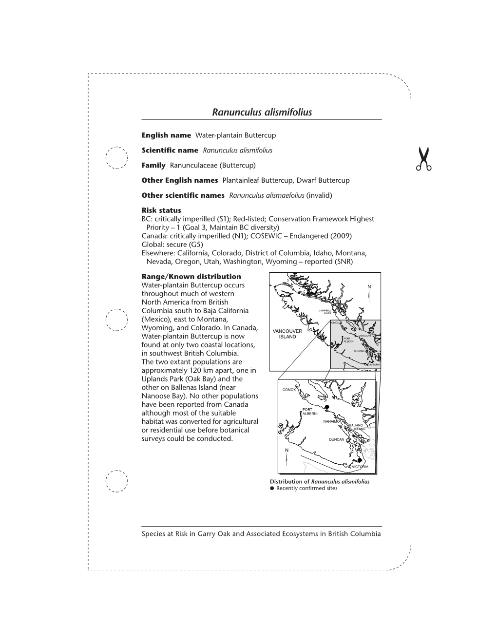 Species at Risk in Garry Oak and Associated Ecosystems in British Columbia (Ranunculus Alismifolius)