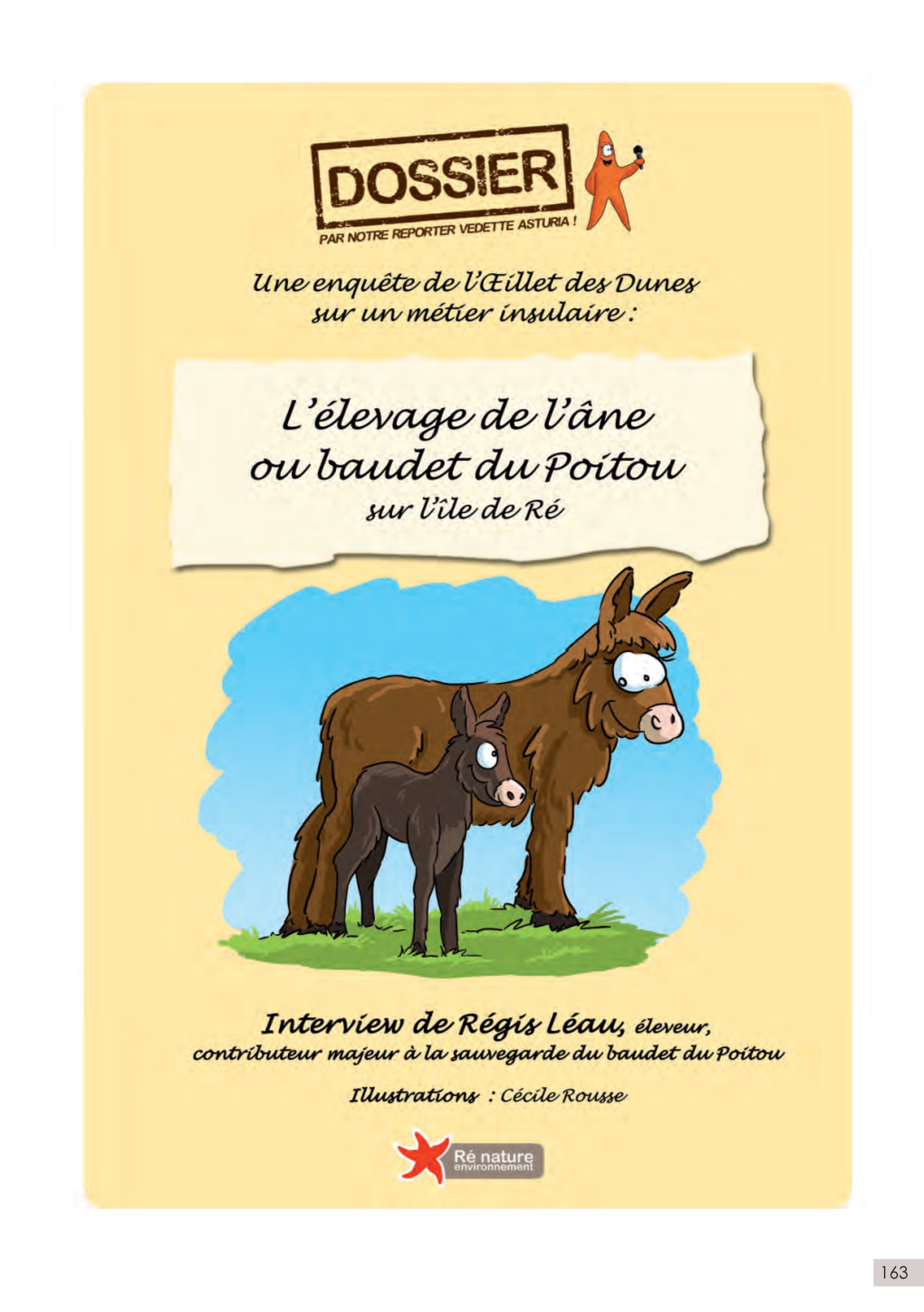 L'elevage De L'âne Du Poitou Dans