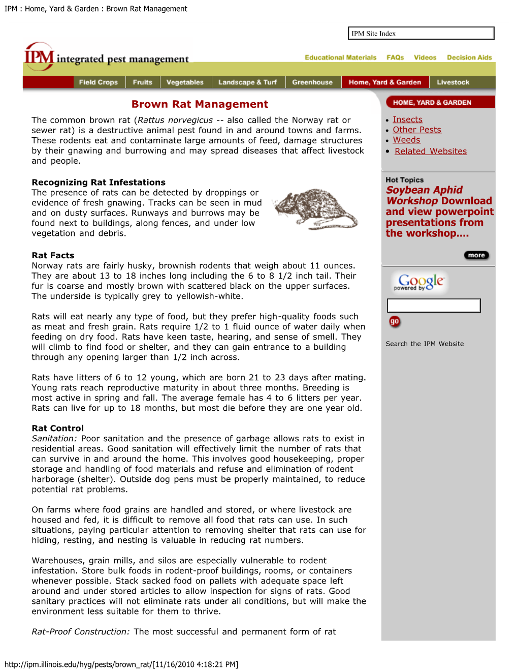 IPM : Home, Yard & Garden : Brown Rat Management