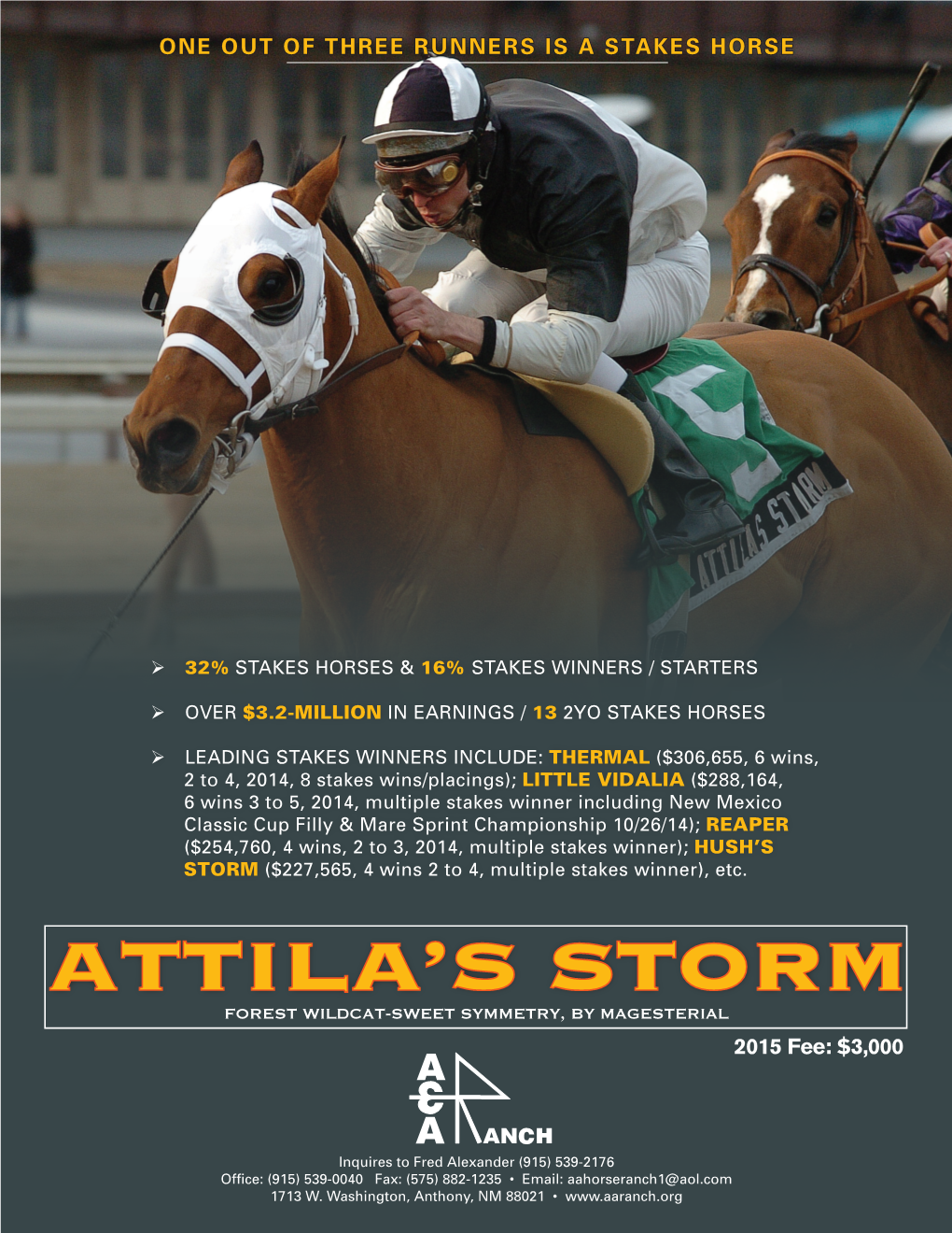 Attila's Storm