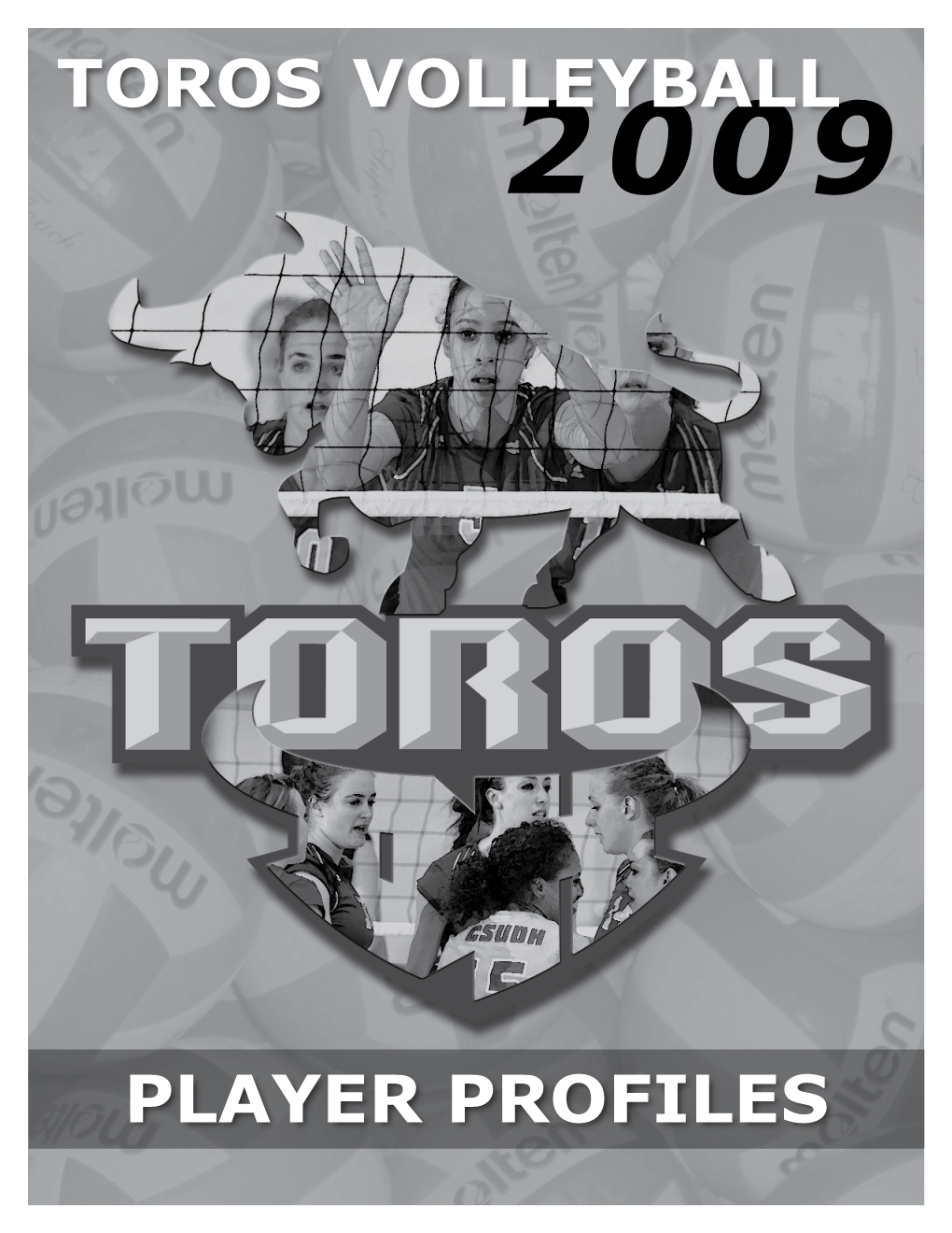 Toros Volleyball Player Profiles