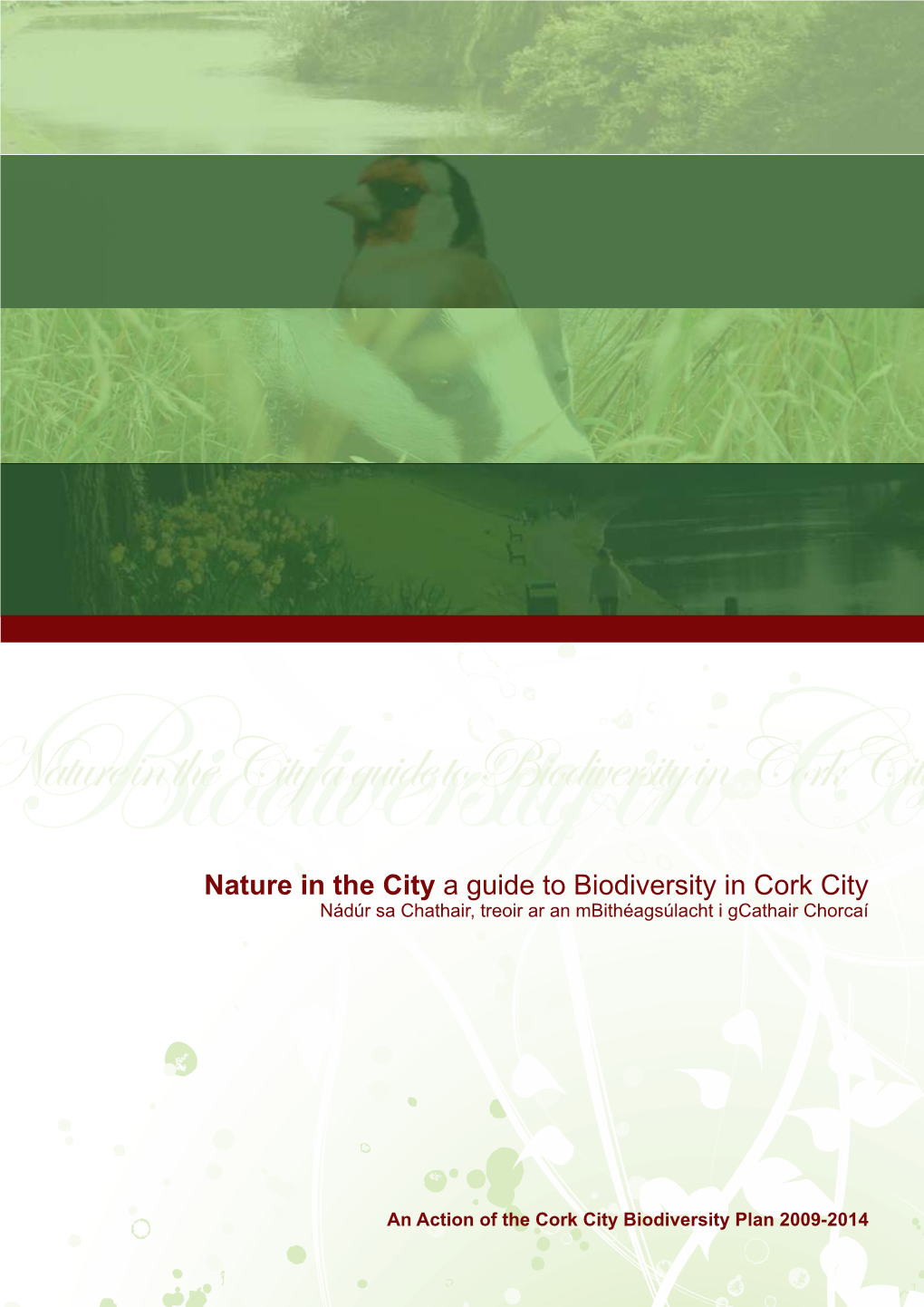 Nature in the City a Guide to Biodiversity in Cork City Nádúr Sa Chathair, Treoir Ar an Mbithéagsúlacht I Gcathair Chorcaí