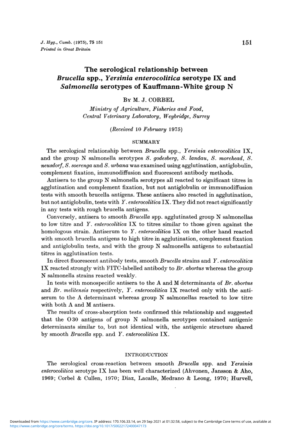 The Serological Relationship Between Brucella Spp., Yersinia Enterocolitica Serotype IX and Salmonella Serotypes of Kauffmann-White Group N by M