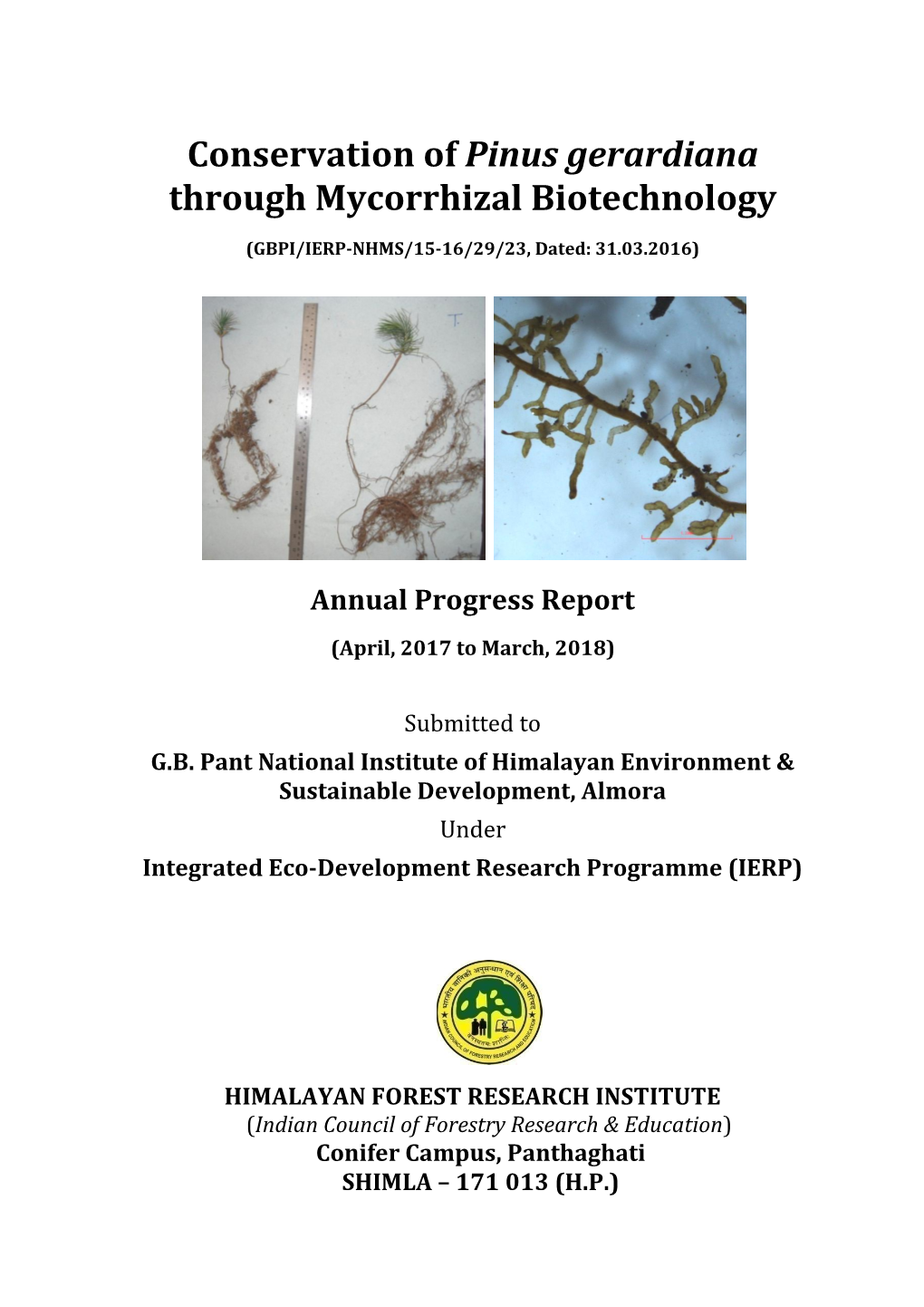 Conservation of Pinus Gerardiana Through Mycorrhizal Biotechnology