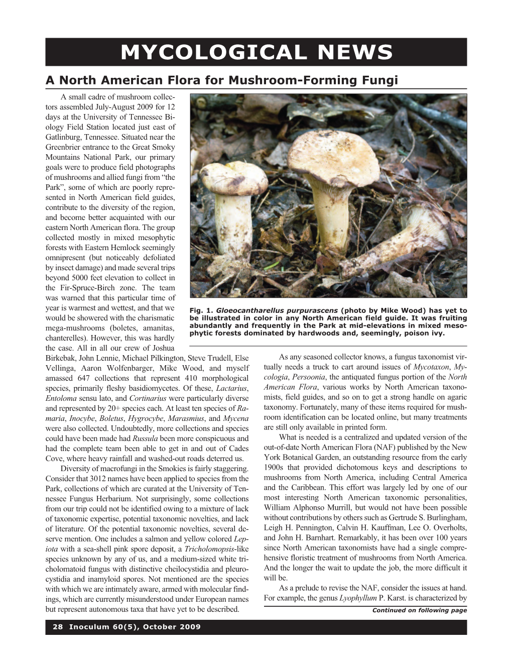 Mycological News