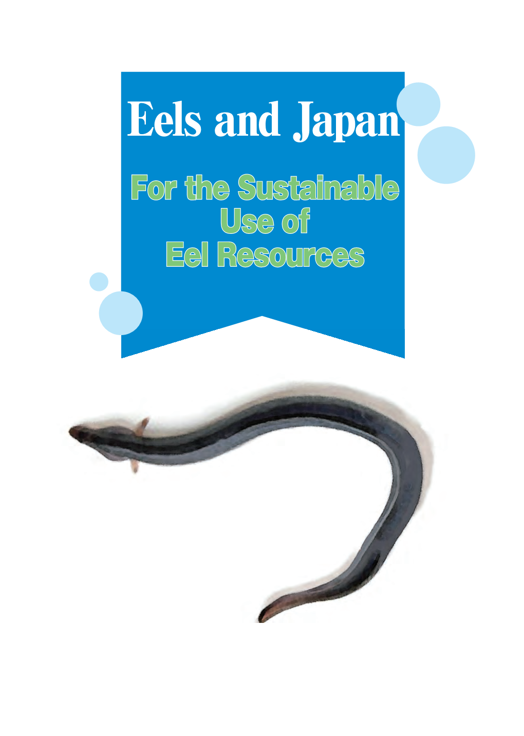 Eels and Japan