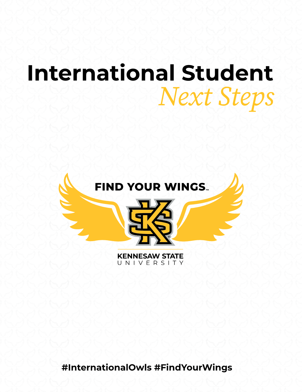 International Next Steps Brochure