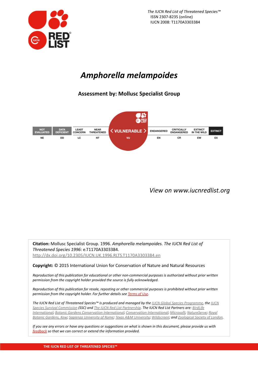 Amphorella Melampoides