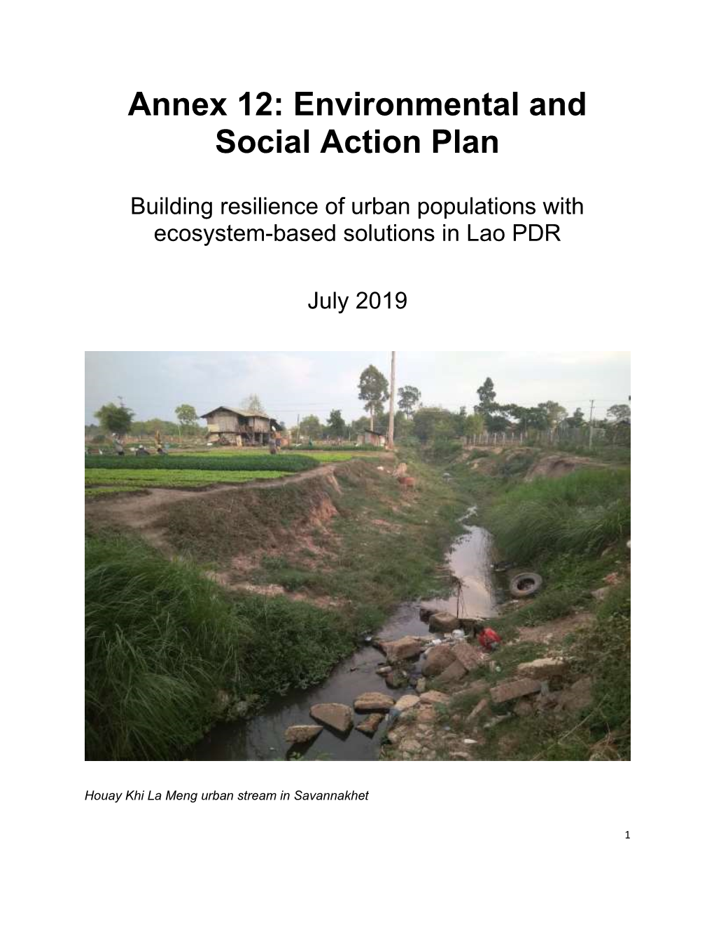 Annex 12: Environmental and Social Action Plan