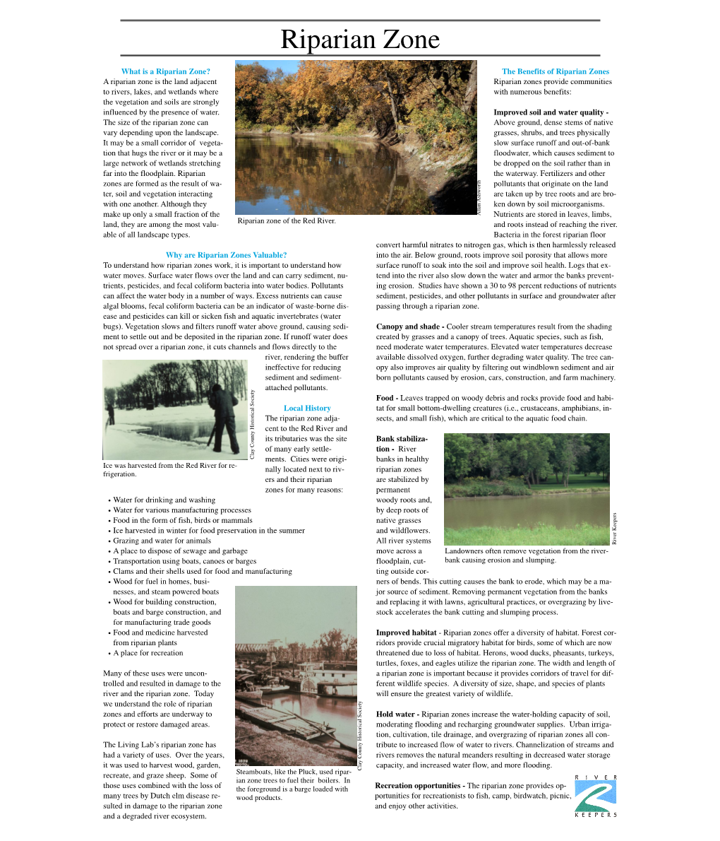 Living Lab – Riparian Zone